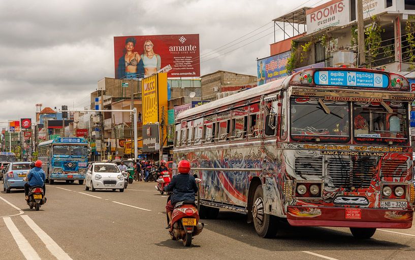 Sri Lanka; Insel der Wunder von Patrick Fotografeert
