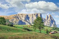 Alpe di Siusi en Sciliar van Peter Eckert thumbnail
