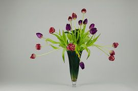 Tulips by Els Grootaers