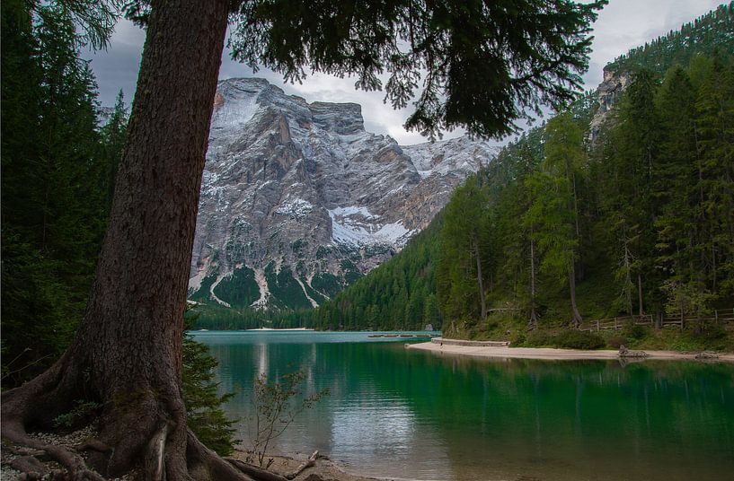 Dolomites by Samantha Rorijs