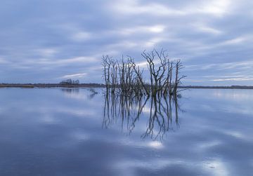 Ökologischer Park Tusschenwater - Zuidlaren - De Groeve (Niederlande) von Marcel Kerdijk