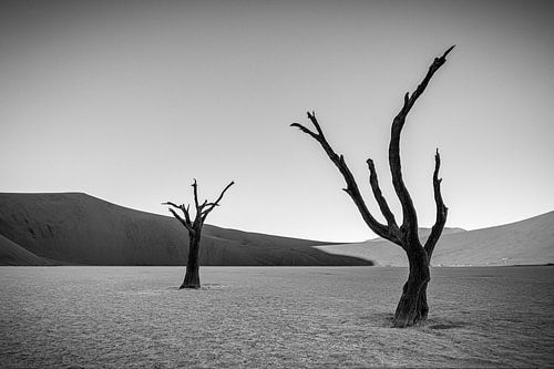 Deadvlei-04