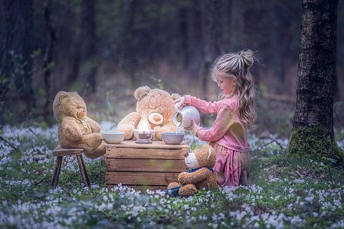 Goldilocks by Elke De Proost