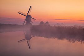 Brouillard au Broekmolen sur Halma Fotografie