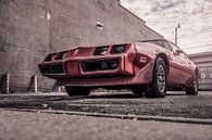 Pontiac, Rode roestige sportauto van Atelier Liesjes thumbnail