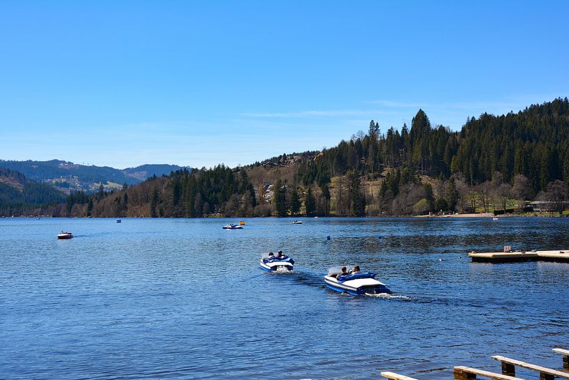 Titisee in het Zwarte Woud van Claudia Evans