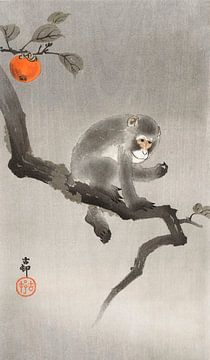 Monkey in cockatoo (1900 - 1930) by Ohara Koson van Studio POPPY