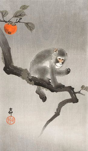 Monkey in cockatoo (1900 - 1930) by Ohara Koson by Studio POPPY