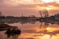 Matin calme sur l'eau