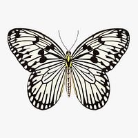 Schmetterling schwarz-weiß