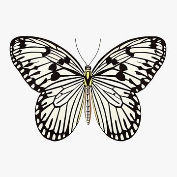 Vlinder zwart-wit van Jole Art (Annejole Jacobs - de Jongh)