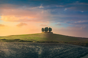 Zypressenwäldchen in den Colline Pisane, Toskana