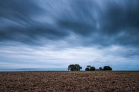Avondlandschap