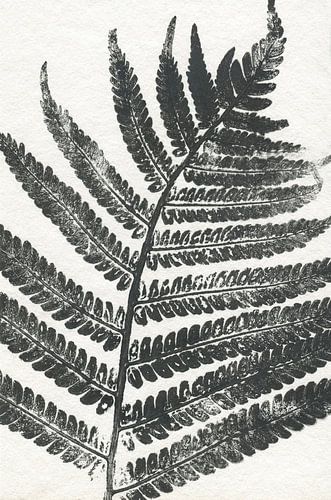 Feuille tropicale (vue dans vtwonen)