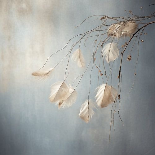 Dried Seeds in Timeless Silence