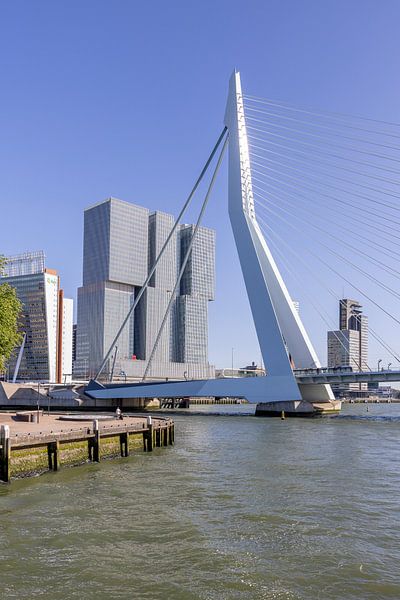 Erasmus Bridge from the water by BTT Fotografie Richard Schretzmeijer
