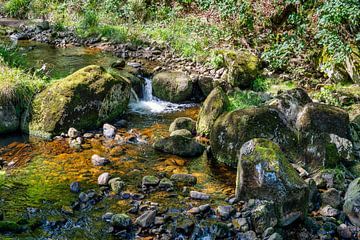 Uitzicht op de watervallen van de Ilse in het Harzgebergte. van Andreas Völkel