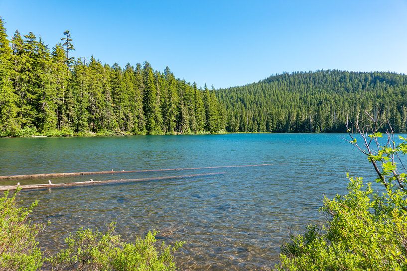 Twin Lakes van Tashina van Zwam