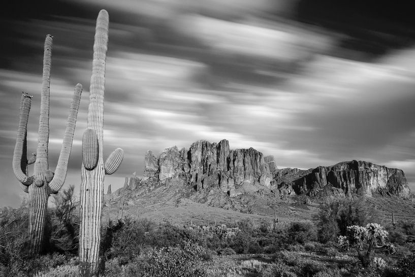 Saguaro-Kaktus mit dem Superstition Mountains im Lost Dutchman State Park, Arizona von Henk Meijer Photography