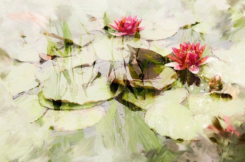 Roze waterlelies van Paula van den Akker