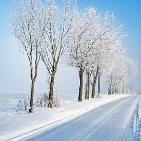 Winter in Noord-Duitsland van Katrin May