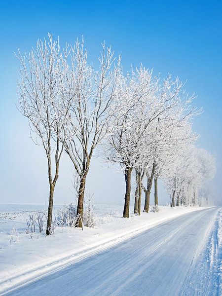 Winter in Noord-Duitsland van Katrin May