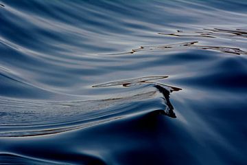 ATLANTIC 5 by Miroslav Ptacek