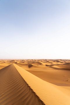 Sahara °8 by mirrorlessphotographer