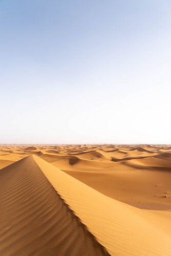 Sahara °8