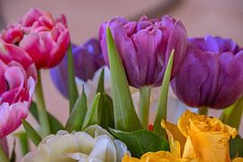 Der Tulpenstrauß von Photoart-Naegele