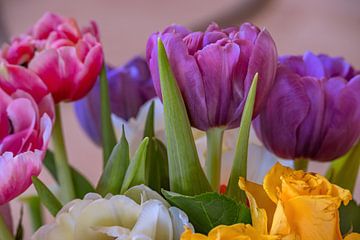 Het boeket tulpen