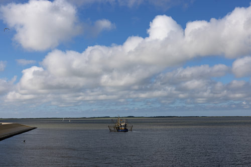 Foto's van het Noordzee-eiland Borkum.
