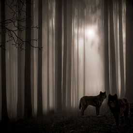 Wolves  by HMS