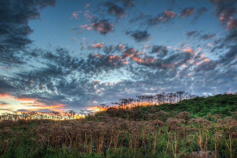 landschap - zonsondergang van Nooraldeen Sabah