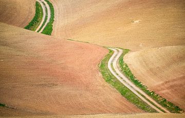 empty fields with path through the hills of Andalusia in Spain by Jan Fritz