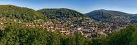 Eberbach Panorama von Uwe Ulrich Grün Miniaturansicht