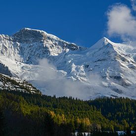 Jungfrau-massief in de lente van Bettina Schnittert