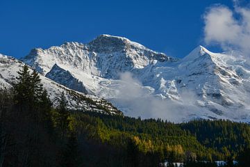 Le massif de la Jungfrau au printemps sur Bettina Schnittert
