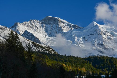 Jungfrau-massief in de lente