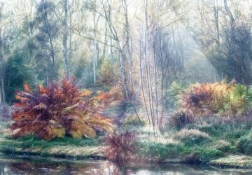 Malerische Herbstwald 