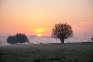 Goldener Morgen
