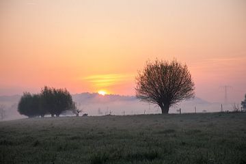Goldener Morgen von Sergej Nickel