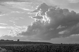 Pinocchio Wolke by Rolf Pötsch