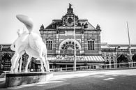 Central Station Groningen, Netherlands, Peerd van ome Loeks  (black&white) par Klaske Kuperus Aperçu