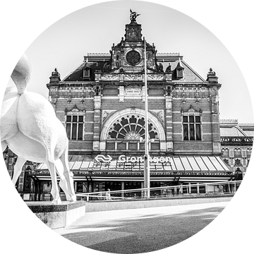 Station Groningen, Peerd van ome Loeks (zwart-wit) van Klaske Kuperus