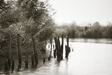 Sur Kerk AE (lac près de Zuiderwoude)