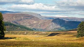 Ardverikie Estate, Schottland von Sebastian Rollé -nature & landscape photography