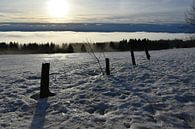 A mist on a spring morning by Claude Laprise thumbnail