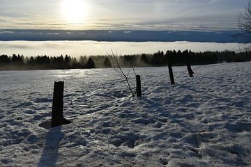 Un brouillard un matin de printemps sur Claude Laprise