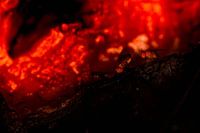 Fruit flies in lava